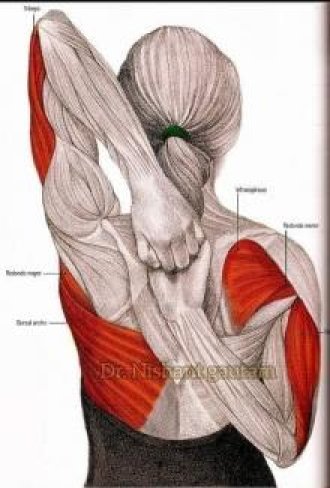 TERAPIA FISICA EN COLUMNA VERTEBRAL