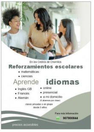 Clases de francés nativo inglés británico y alemán en línea o a domicilio.