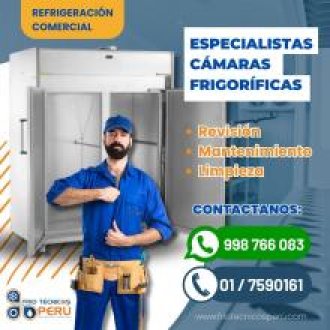 Servicio técnico de cámaras de refrigeración industrial 998766083