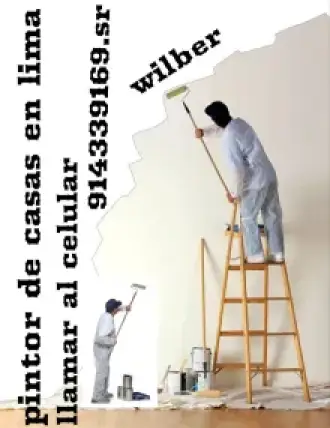pintor de casas en general
