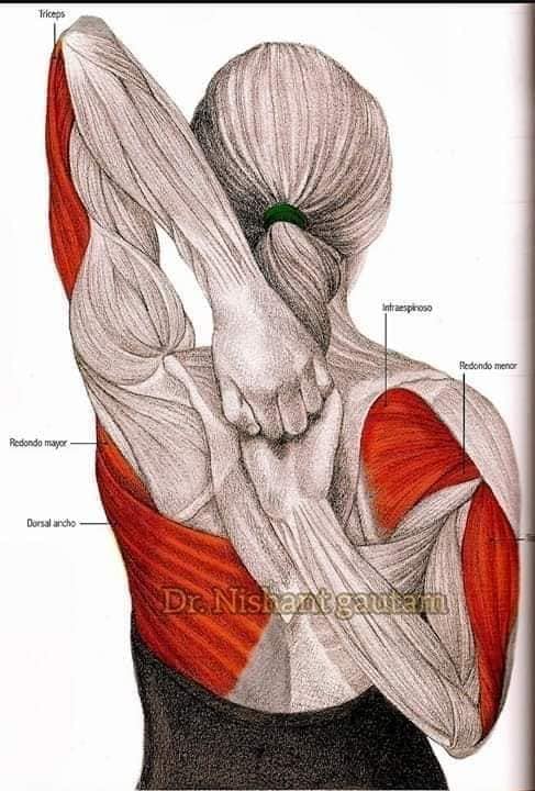 TERAPIA FISICA EN COLUMNA VERTEBRAL