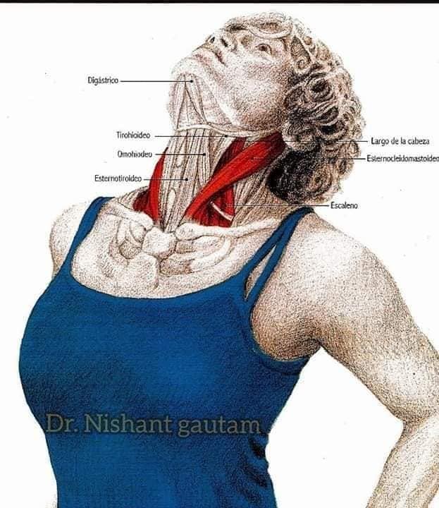 TERAPIA FISICA EN COLUMNA VERTEBRAL