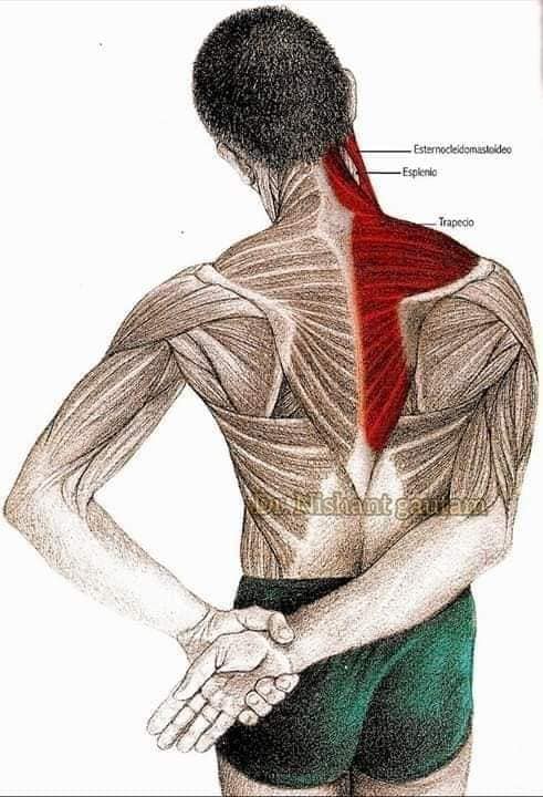 TERAPIA FISICA EN COLUMNA VERTEBRAL