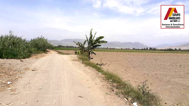 VENDO TERRENO AGRICOLA 5.5 HAS SAN JOSE EL CARMEN - CHINCHA CHINCHA BAJA