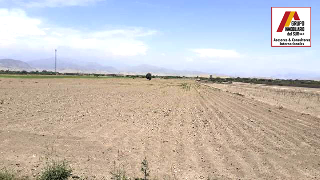 VENDO TERRENO AGRICOLA 5.5 HAS SAN JOSE EL CARMEN - CHINCHA CHINCHA BAJA