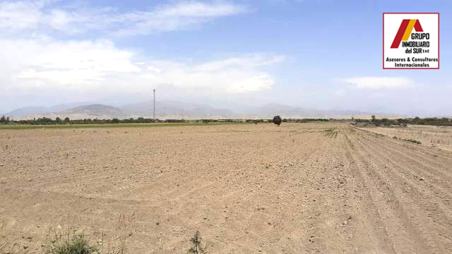 VENDO TERRENO AGRICOLA 5.5 HAS SAN JOSE EL CARMEN - CHINCHA CHINCHA BAJA