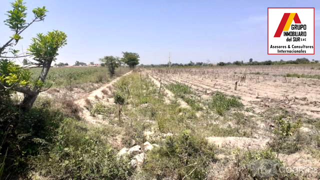 VENTA DE TERRENO AGRICOLA EN INDEPENDENCIA - PISCO PISCO