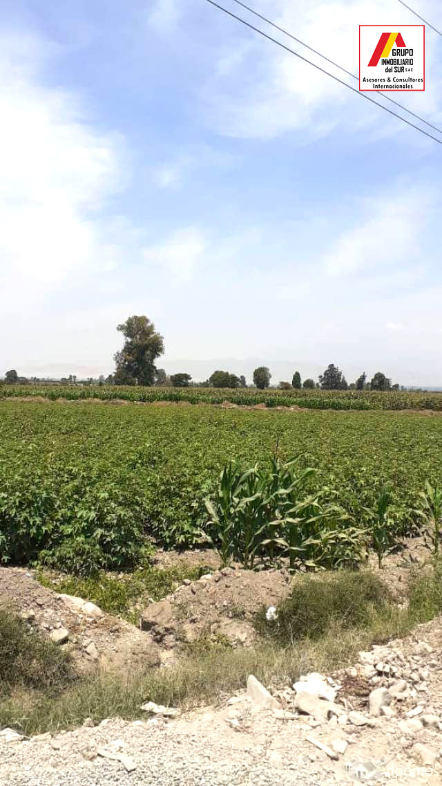 VENDO TERRENO AGRICOLA PEQUEÑA DE 56 Y 8 HAS EN INDEPENDENCIA PISCO