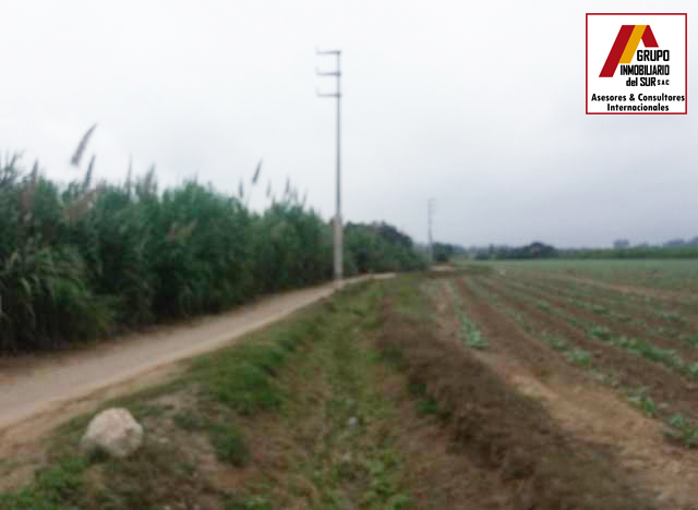 VENTA DE TERRENOS AGRÍCOLAS EN LURINCHINCHA CHINCHA ALTA