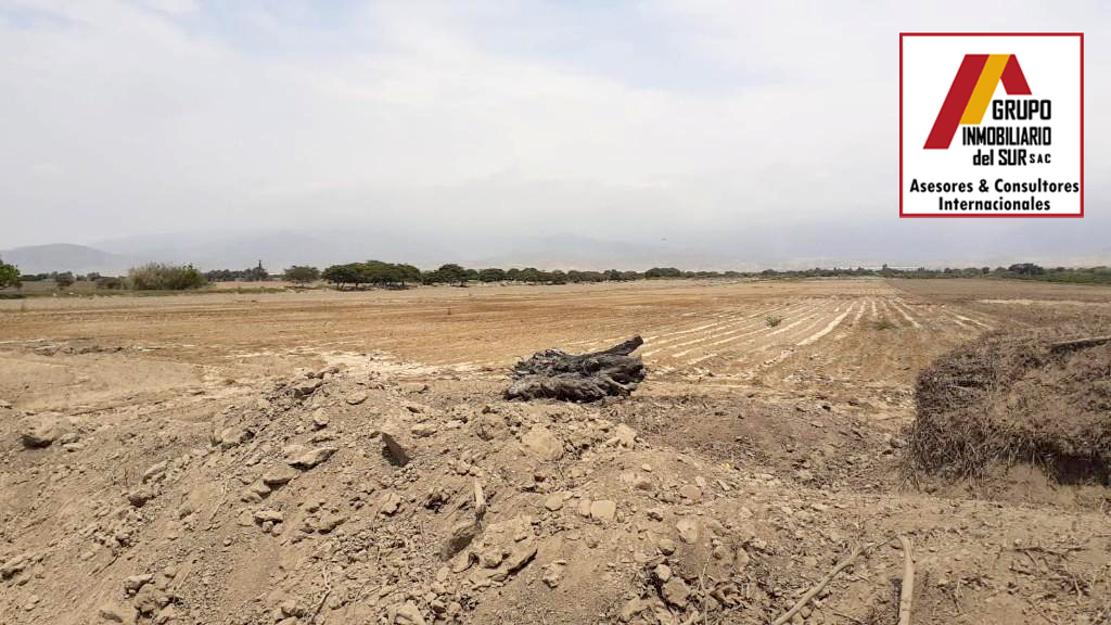 VENTA DE TERRENO RURAL HACIENDA SAN JOSE- EL CARMEN CHINCHA EL CARMEN