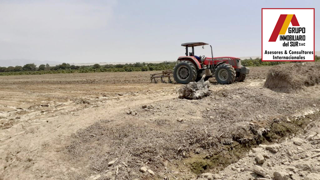 VENTA DE TERRENO RURAL HACIENDA SAN JOSE- EL CARMEN CHINCHA EL CARMEN