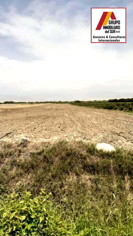 VENTA DE TERRENO RURAL HACIENDA SAN JOSE- EL CARMEN CHINCHA EL CARMEN