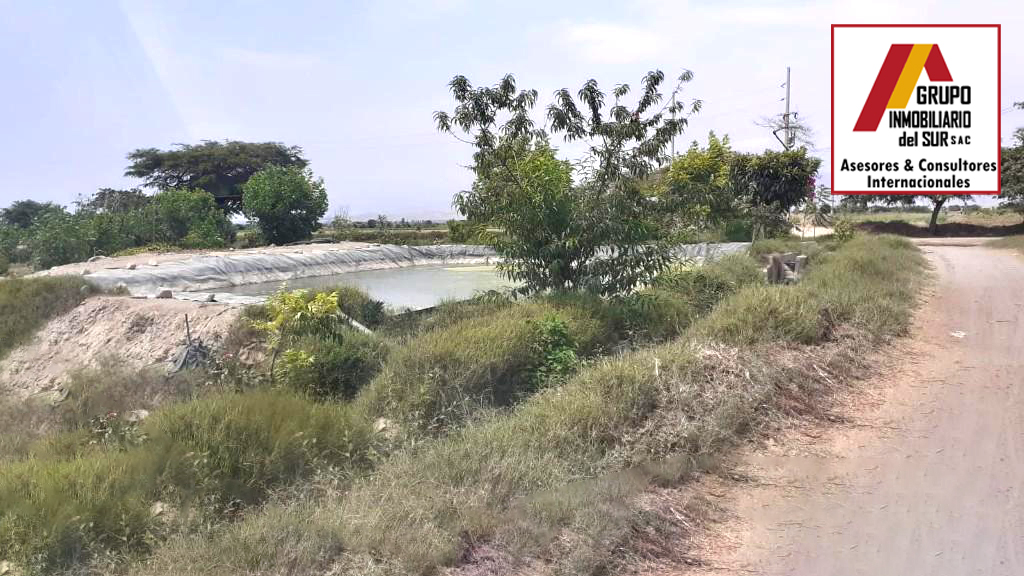 VENTA DE TERRENO RURAL HACIENDA SAN JOSE- EL CARMEN CHINCHA EL CARMEN