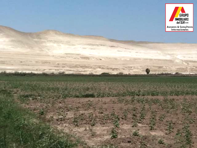  VENTA DE PARCELA DE TIERRA AGRÍCOLA 4.58 HAS EN CAUCATO PISCO