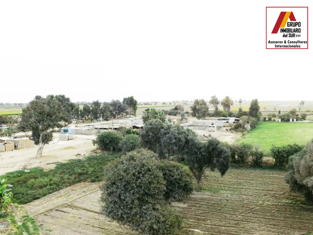  VENTA DE TERRENO 12 HA. EN SAN CLEMENTE - PISCO CHINCHA