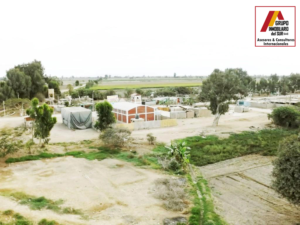  VENTA DE TERRENO 12 HA. EN SAN CLEMENTE - PISCO CHINCHA