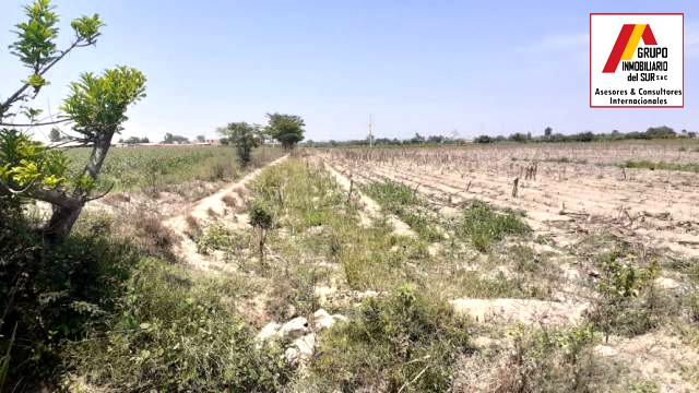  VENDO TERRENO AGRICOLA PEQUEÑA DE 6 HAS EN INDEPENDENCIA - PISCO PISCO