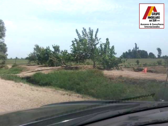  VENTA DE TERRENO AGRICOLA EN INDEPENDENCIA - PISCO - 8 HECTÁREAS PISCO