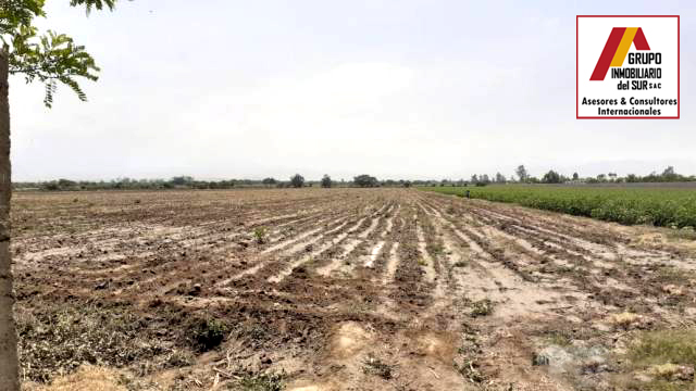  VENDO TERRENO RURAL 4 HAS - EL CARMEN CHINCHA EL CARMEN