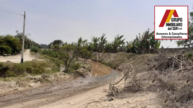  VENDO TERRENO RURAL 4 HAS - EL CARMEN CHINCHA EL CARMEN