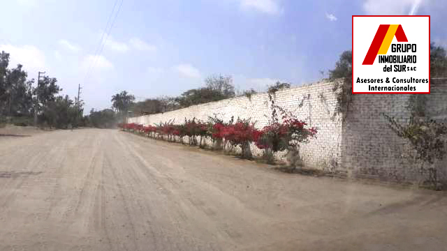  VENDO TERRENO RURAL 4 HAS - EL CARMEN CHINCHA EL CARMEN