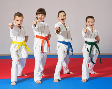 DOCENTE DE KARATE Y DEFENSA PERSONAL INFANTIL JUVENIL MAYORES