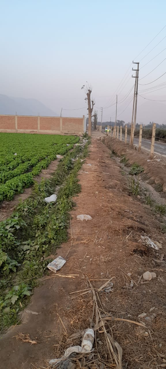 VENDO TERRENO 4,000 m2 – CARABAYLLO - COMAS