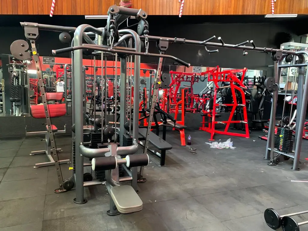 Equipos de gimnasio profesionales - Fabricación nacional