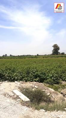 VENDO TERRENO AGRICOLA PEQUEÑA DE 56 Y 8 HAS EN INDEPENDENCIA PISCO