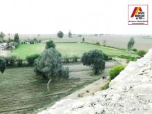  VENTA DE TERRENO 12 HA. EN SAN CLEMENTE - PISCO CHINCHA