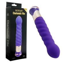 VIBRADOR - CHARISMATIC VIBE