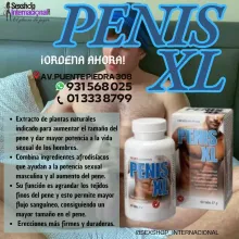 PENIS XL CAPSULA DESARROLLO PN MAS TESTOSTERONAPOTENCIADOR